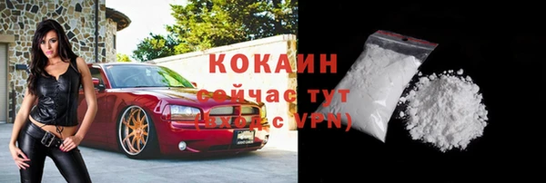 дмт Арсеньев
