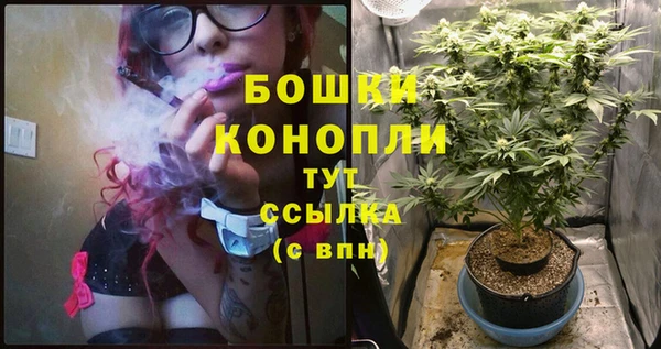 apvp Армянск