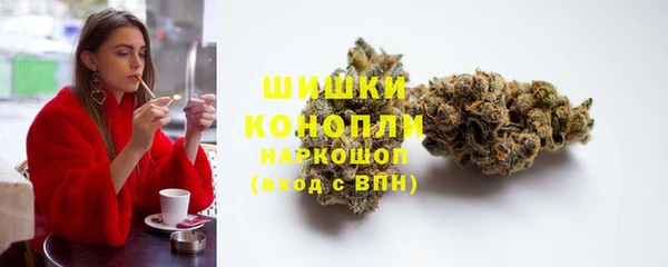 дмт Арсеньев