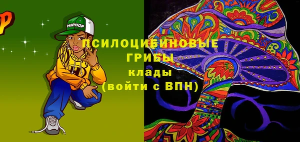 apvp Армянск