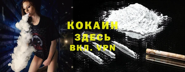 дмт Арсеньев